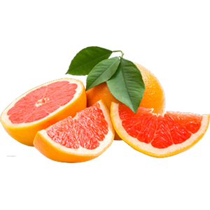 Grapefruit PNG-15236